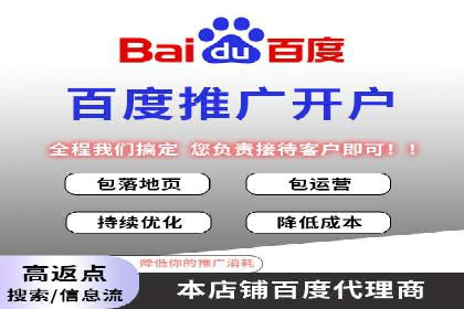 竞价推广实战：案例分析行业领军企业的成功之道